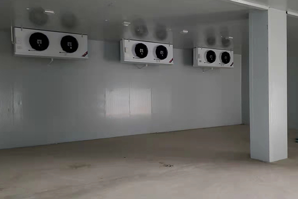 ��ƷͼƬ5.jpg ��ƷͼƬ5.jpg